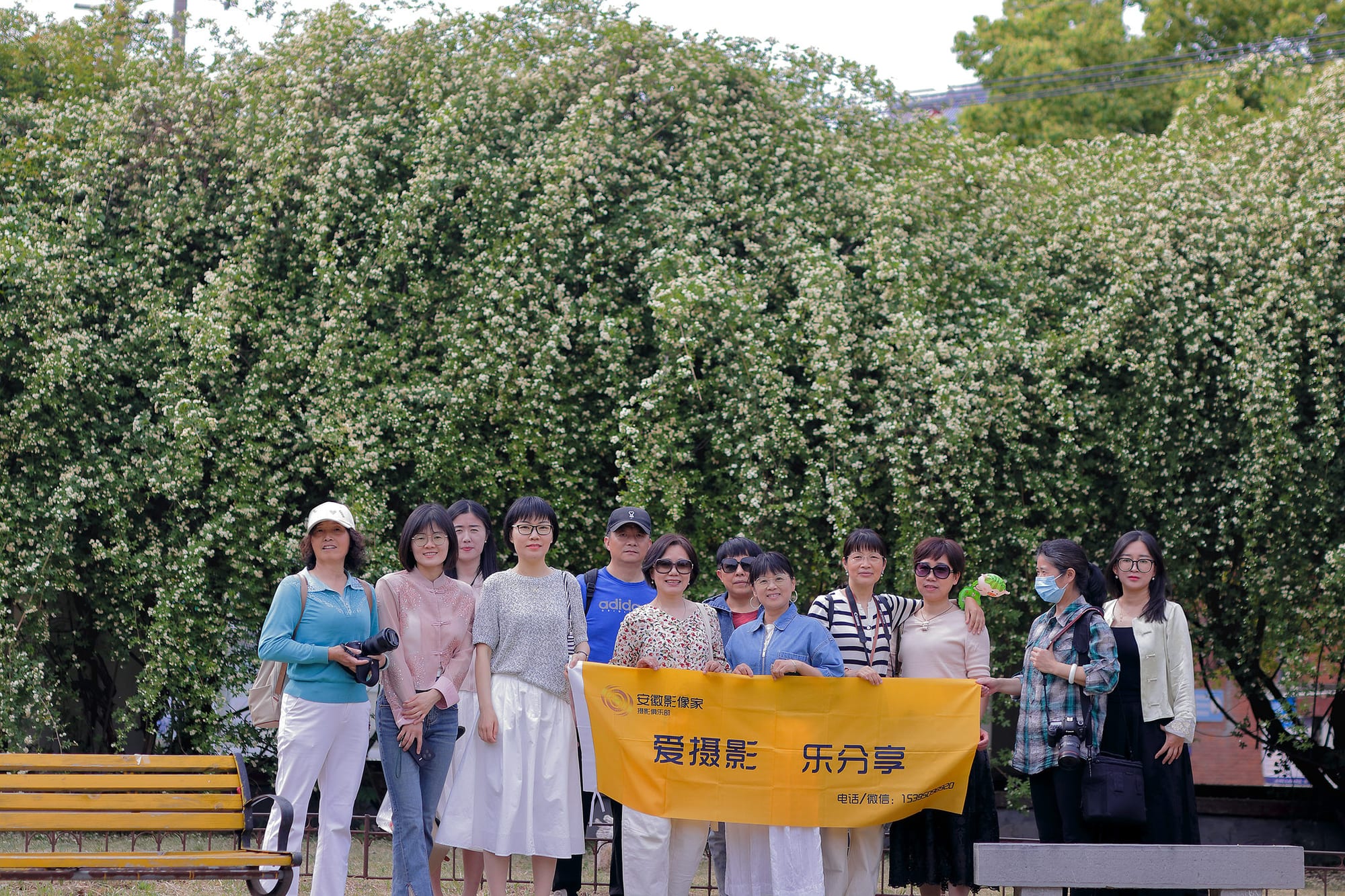 2025 合柴木香花